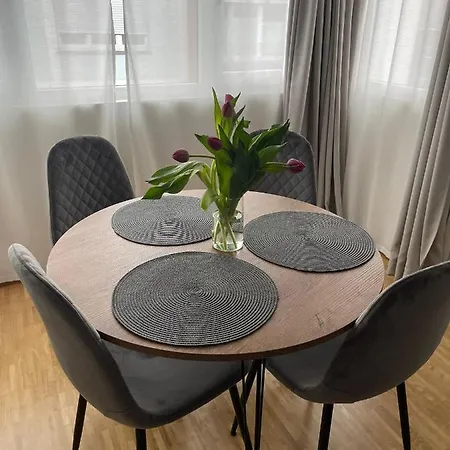 アパート Wilhelmsapartment フリードリヒスハーフェン